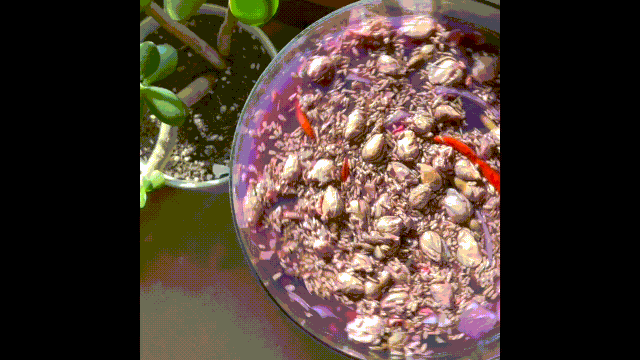 Elderberry Hibiscus Fire Cider